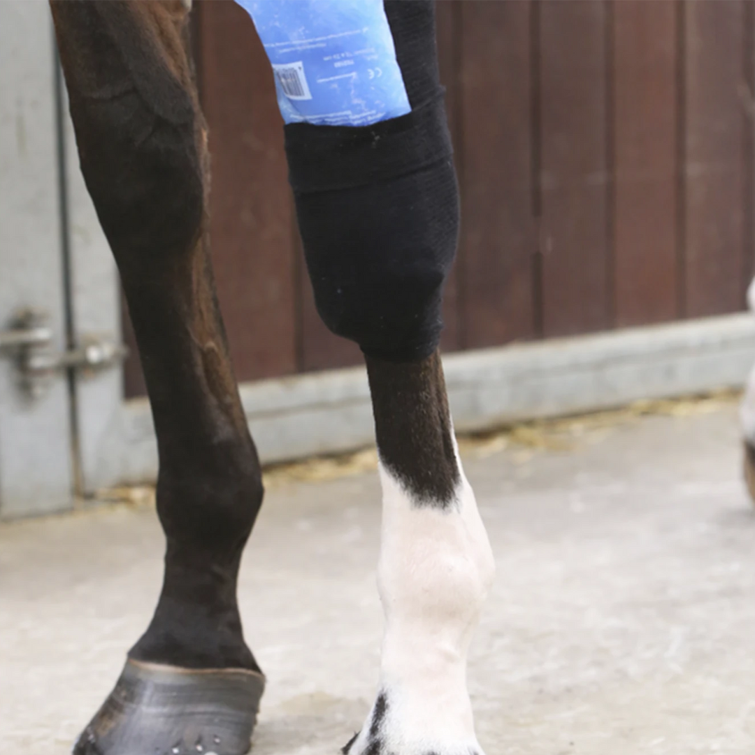Kentucky Horsewear Tendon Grip Sock, Beige
