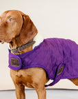 Kentucky Dog Coat, Royal Purple