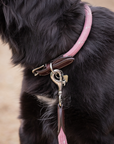 Pénélope Billie Dog Collar, Pink