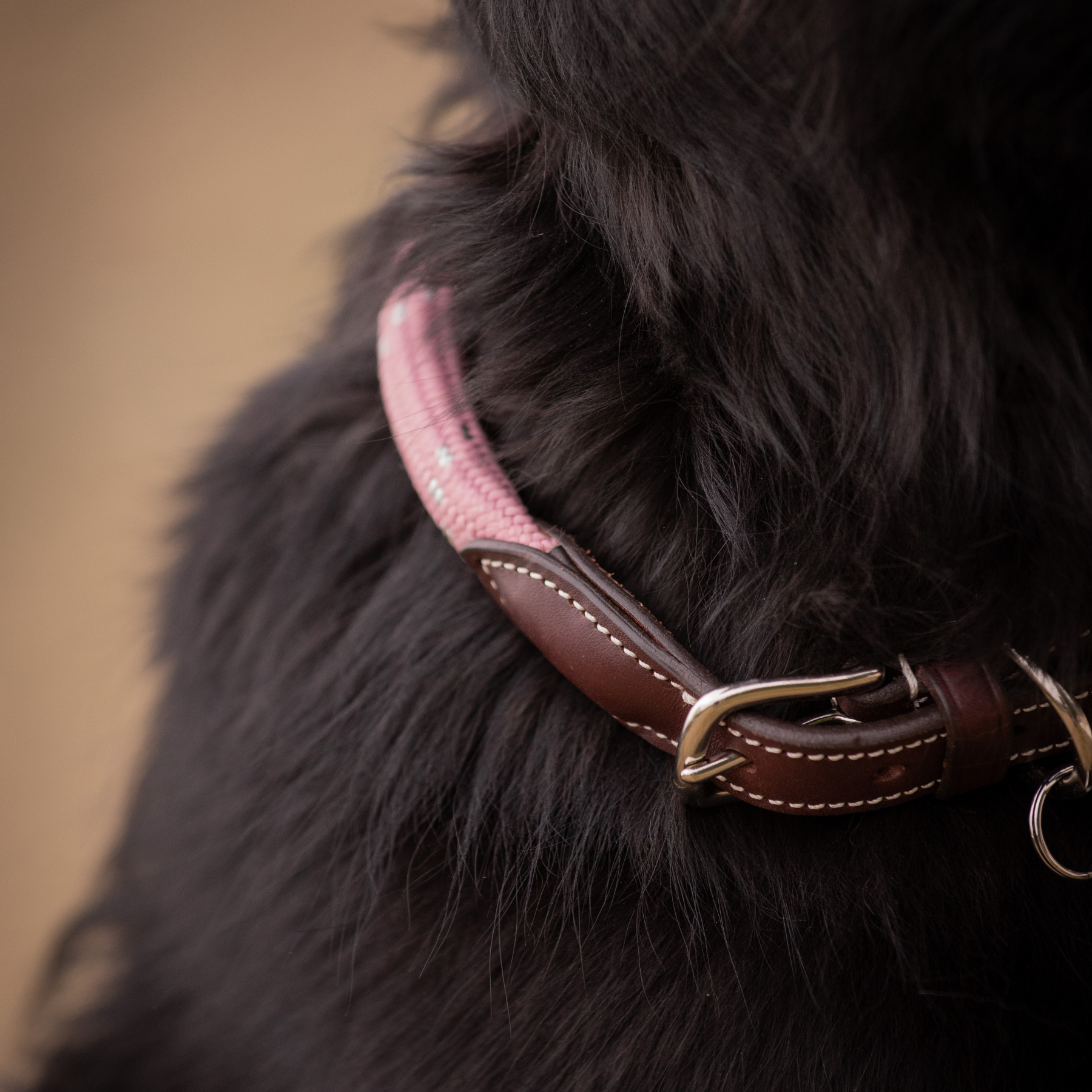 Pénélope Billie Dog Collar, Pink