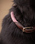 Pénélope Billie Dog Collar, Pink