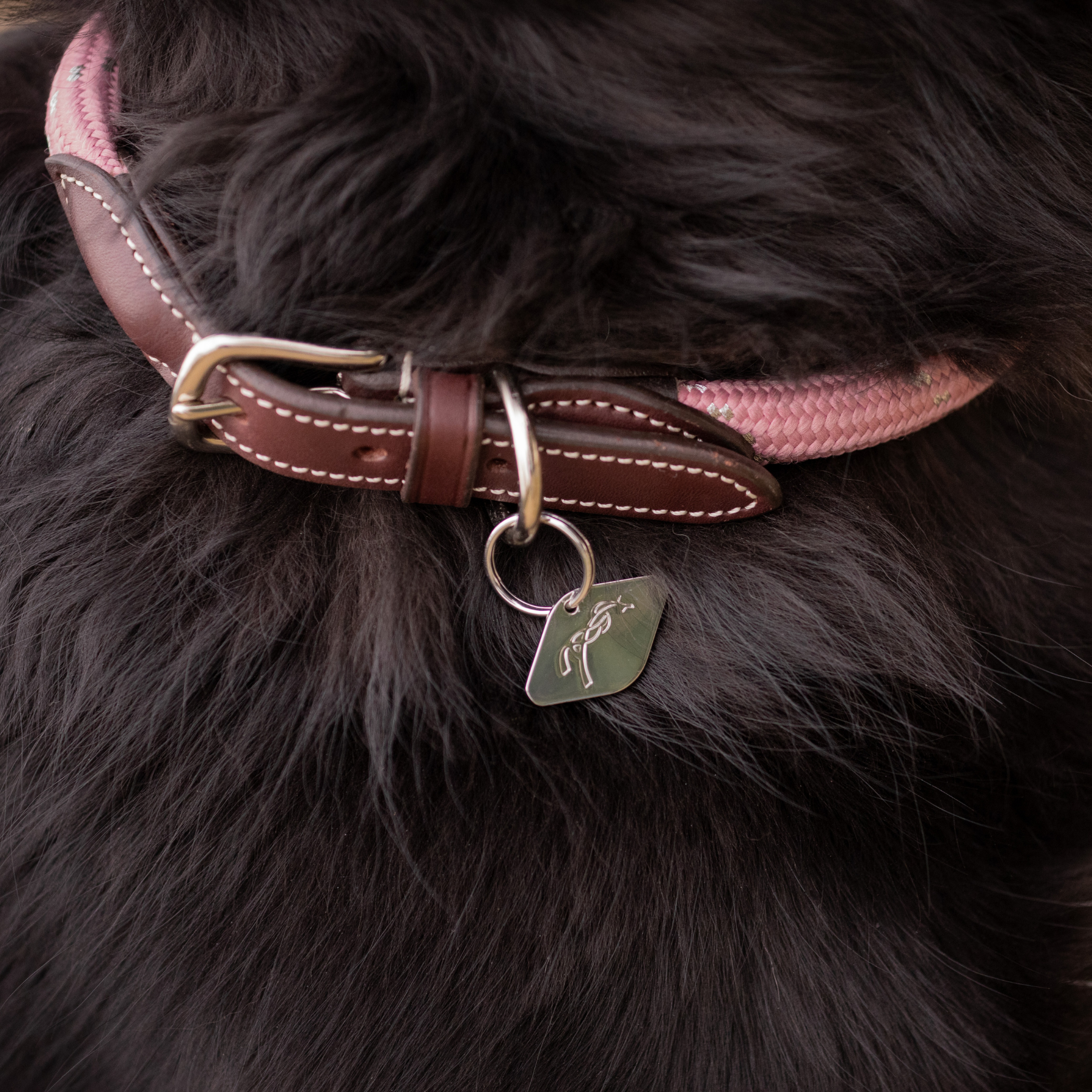 Pénélope Billie Dog Collar, Pink