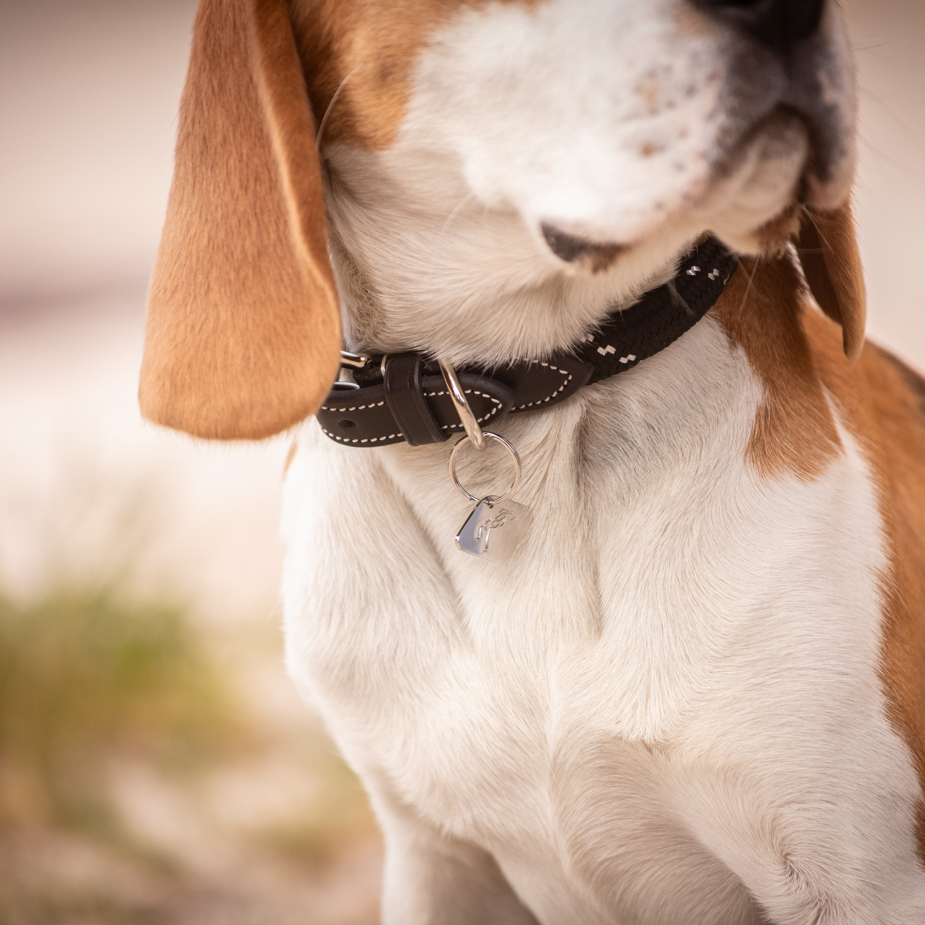 Pénélope Billie Dog Collar, Black