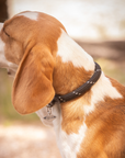 Pénélope Billie Dog Collar, Black