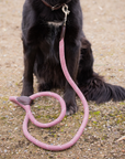 Pénélope Billie Dog Collar, Pink
