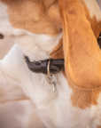 Pénélope Billie Dog Collar, Black