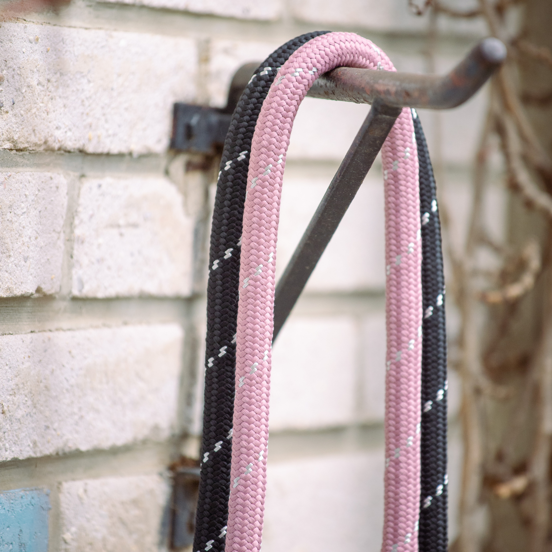 Pénélope Billie Dog Leash, Pink