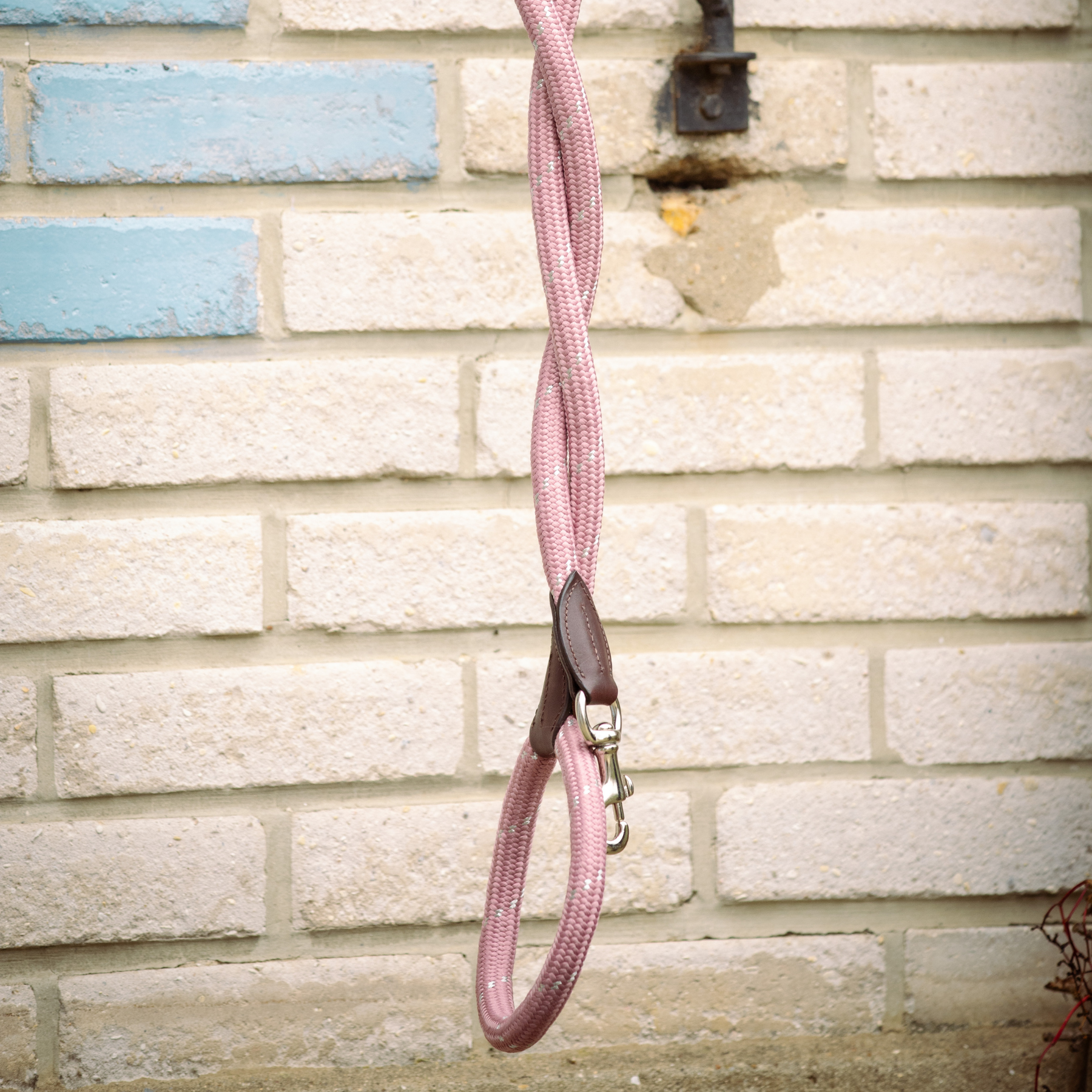 Pénélope Billie Dog Leash, Pink