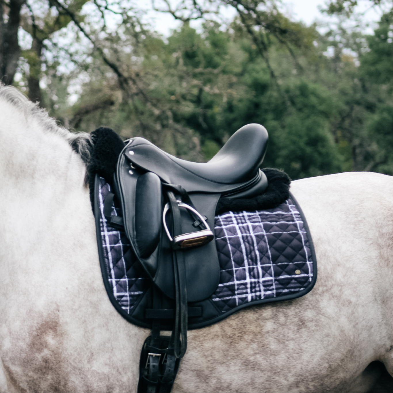 Sixteen Cypress Dressage Pad, Black Field Plaid &amp; Merino Wool