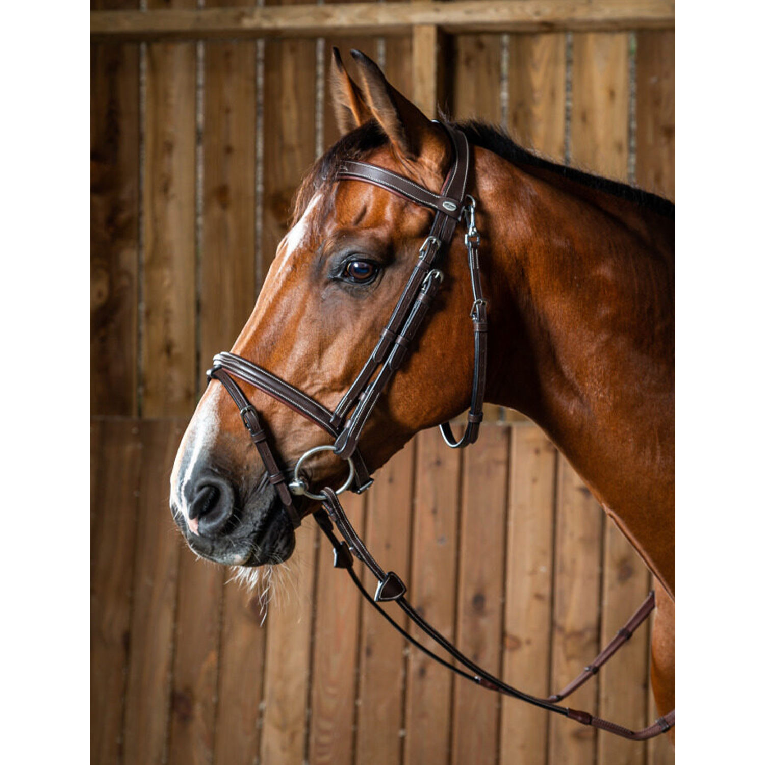 Dy&#39;on Flash Noseband Bridle With Snap Hooks, Brown, Working By Dy&#39;on