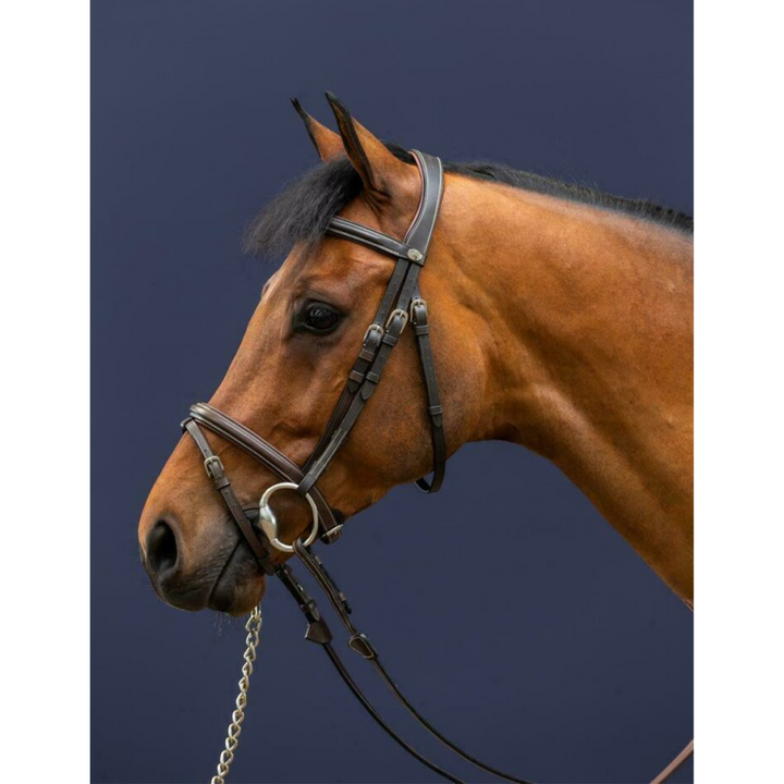Dy'on Flash Noseband Bridle, Brown, Working By Dyon