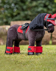 LeMieux Toy Pony Freya