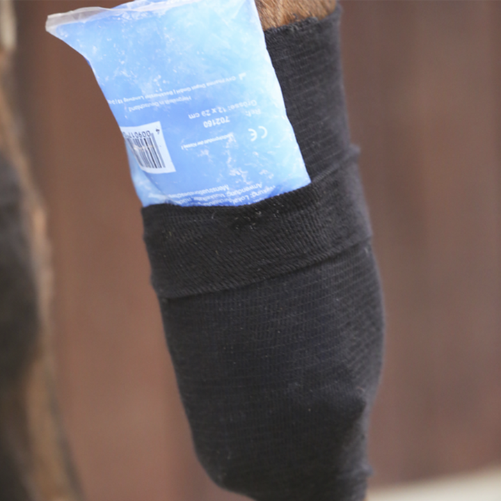 Kentucky Horsewear Tendon Grip Sock, Beige