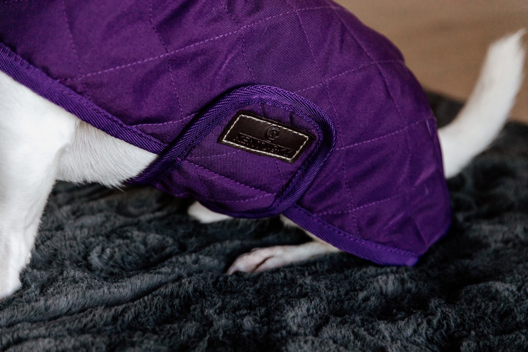 Kentucky Dog Coat, Royal Purple