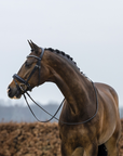 Trust Equestrian Verden Large Crank Noseband Bridle, Black/Black