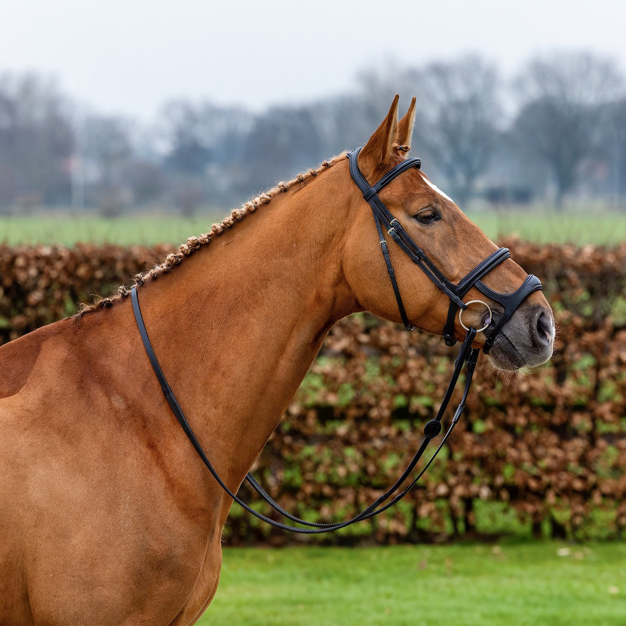 Trust Equestrian Paris Double Noseband Bridle, Brown/Silver