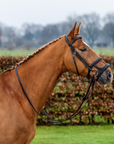 Trust Equestrian Paris Double Noseband Bridle, Brown/Silver