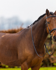 Trust Equestrian Amsterdam Comb. Noseband Bridle, Brown/Silver