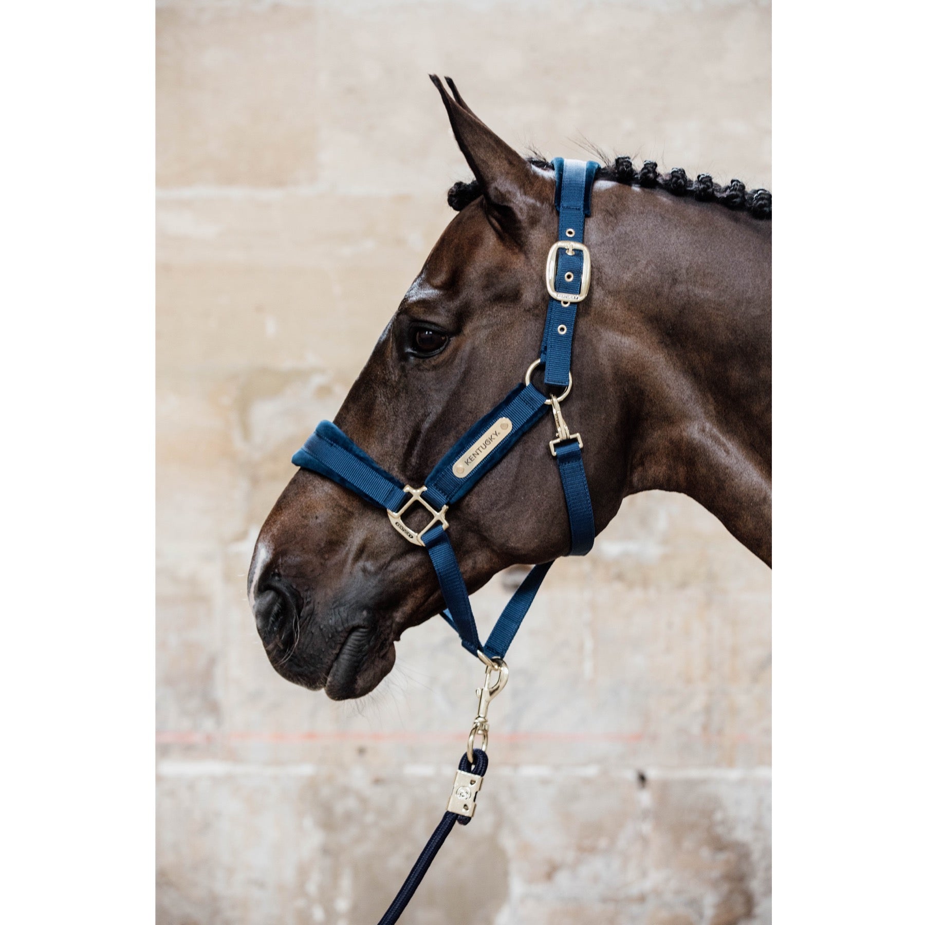 Kentucky Horsewear Velvet Halter, Navy