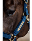 Kentucky Horsewear Velvet Halter, Navy