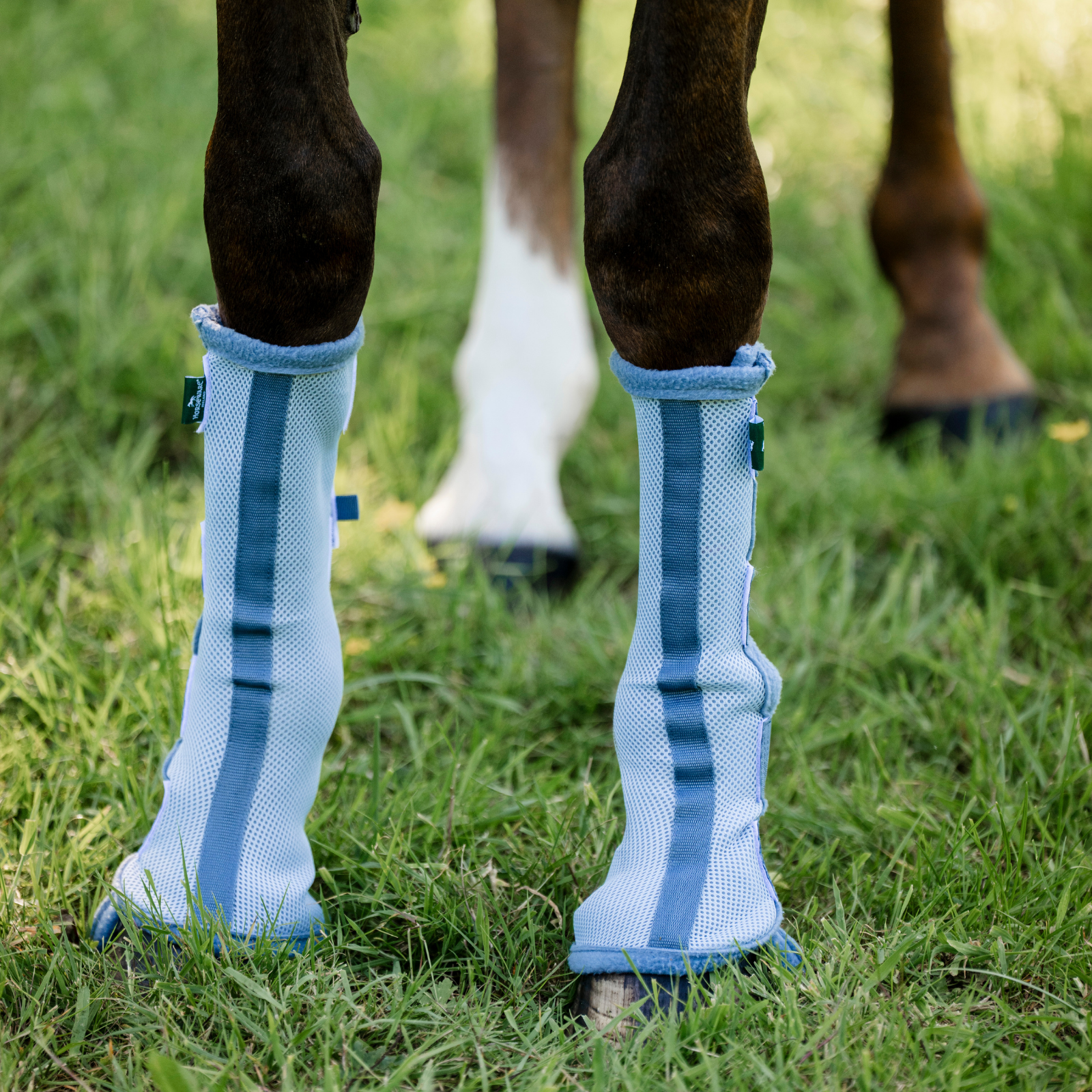 Horsewear Fly Boots, Set of 2, Heather Blue/Blue &amp; Silver