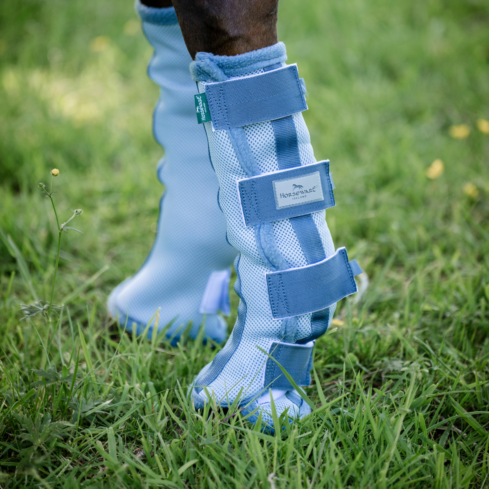 Horsewear Fly Boots, Set of 2, Heather Blue/Blue &amp; Silver