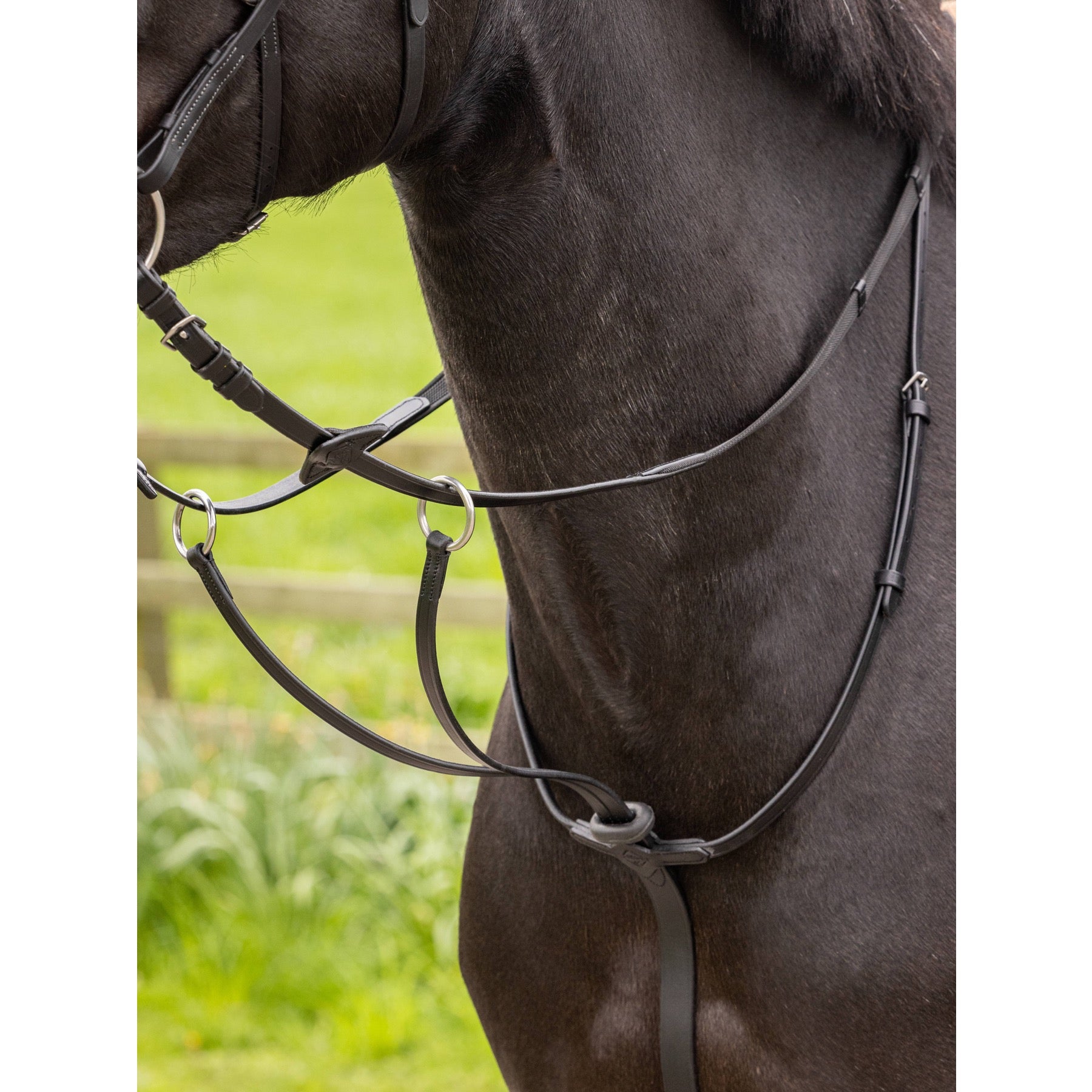 LeMieux Arika Running Martingale, Black/Silver