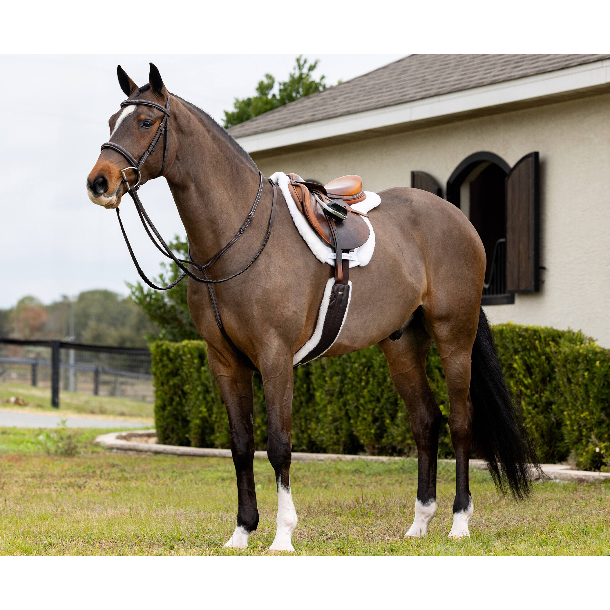 LeMieux Merino Hunter Saddle Pad, White/White