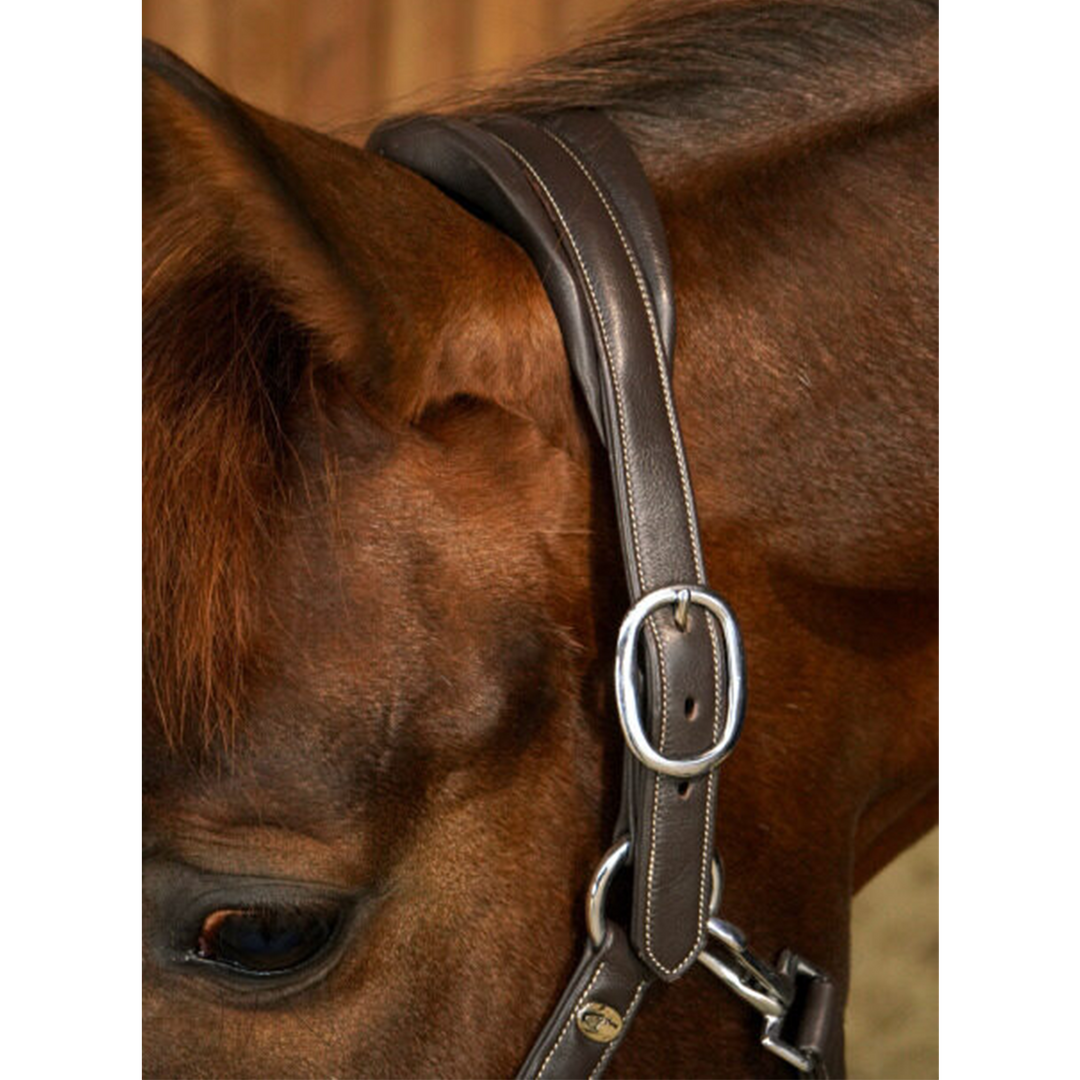 Dy'on Soft Leather Head Collar (Halter) Brown, Working By Dyon