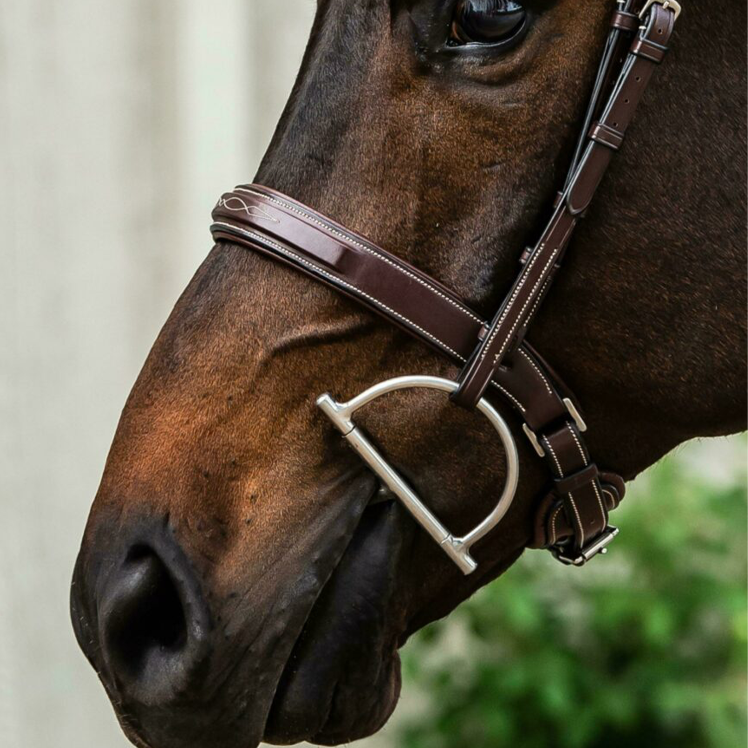 Dy&#39;on Wide Hunter Noseband with crank pull back, Brown, US Collection