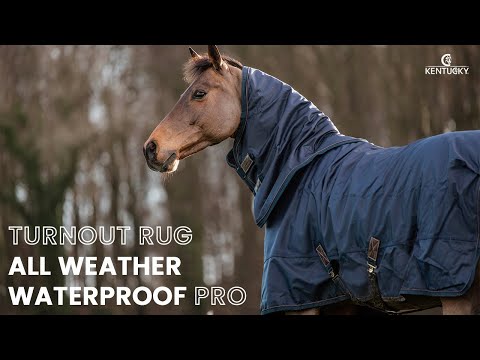 Kentucky Horsewear Turnout Rug All Weather Waterproof Pro 160g, Brown