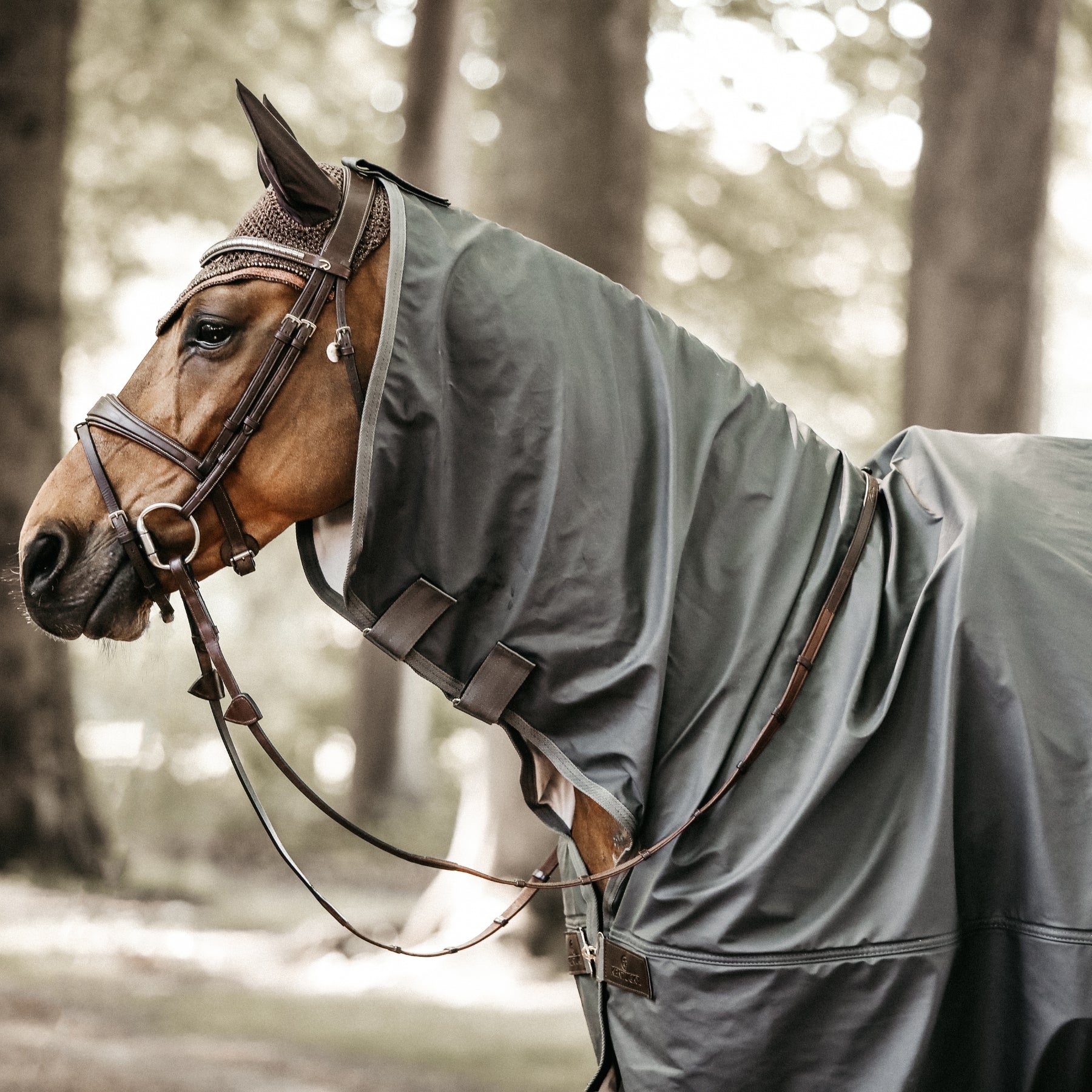 Horse raincoat store