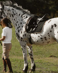 Sixteen Cypress Dressage Pad, Black & Gold Leaf