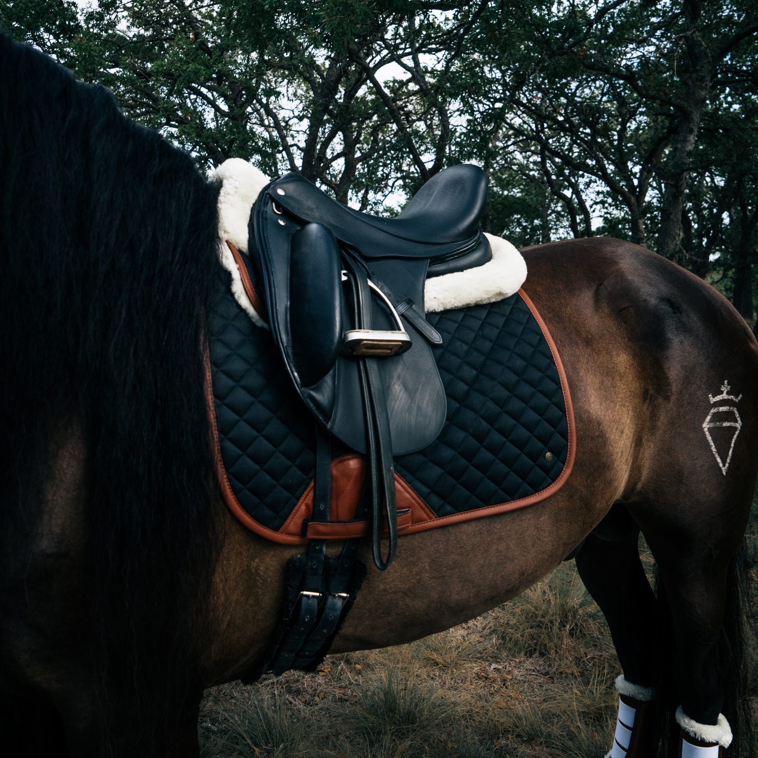 Sixteen Cypress Dressage Pad, Black &amp; Cognac