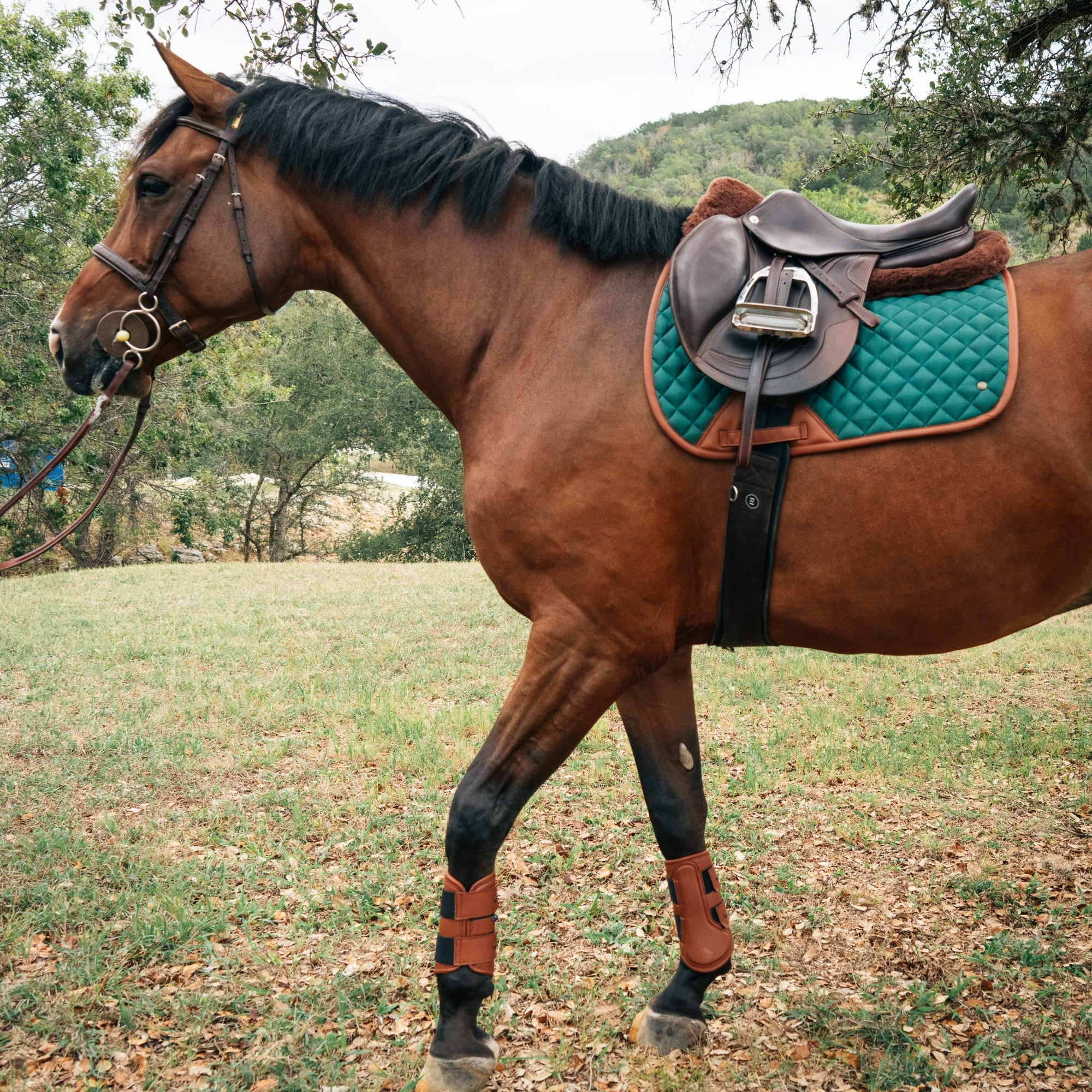 Sixteen Cypress Leatherette Splint Boots, Cognac