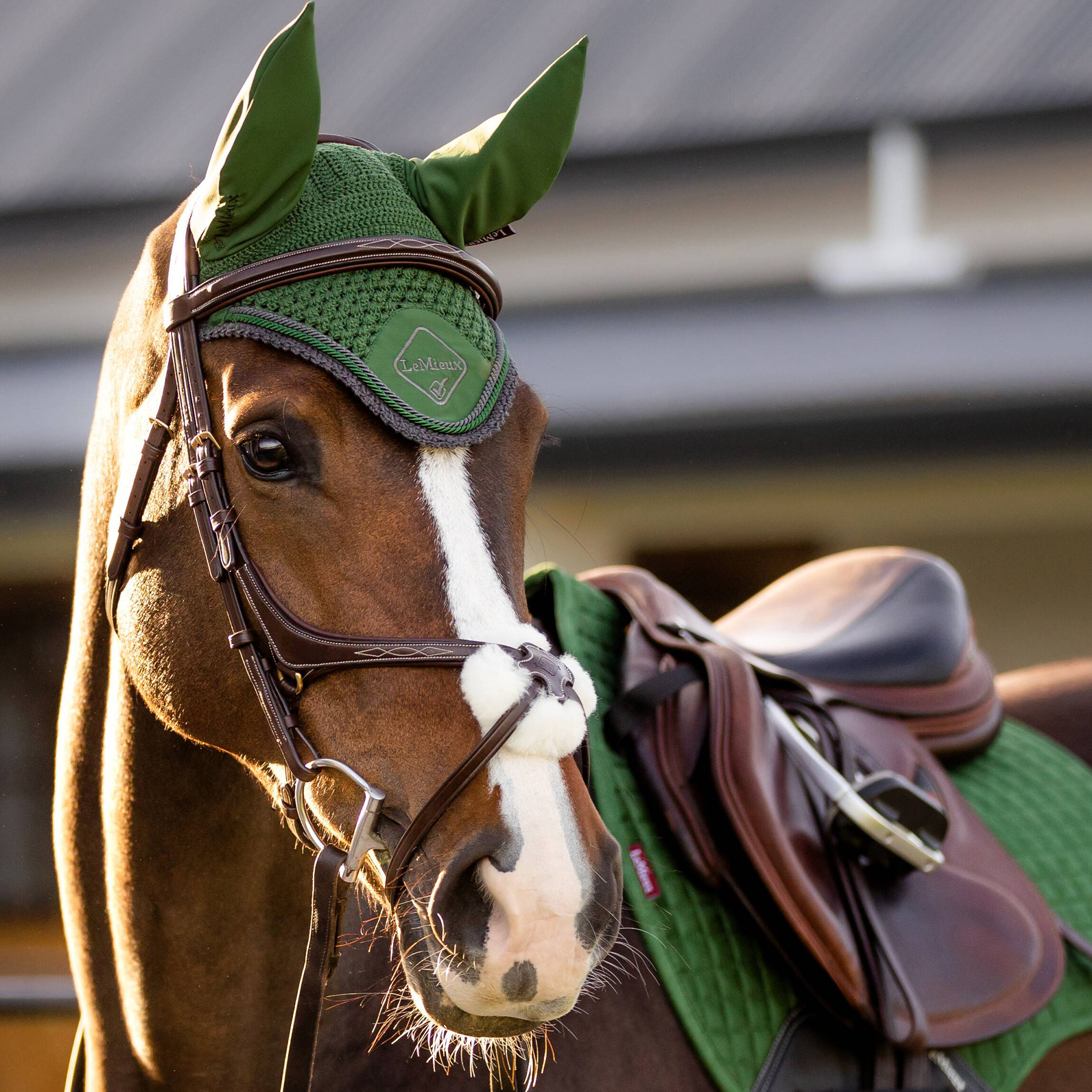 LeMieux Classic Fly Veil, Hunter Green