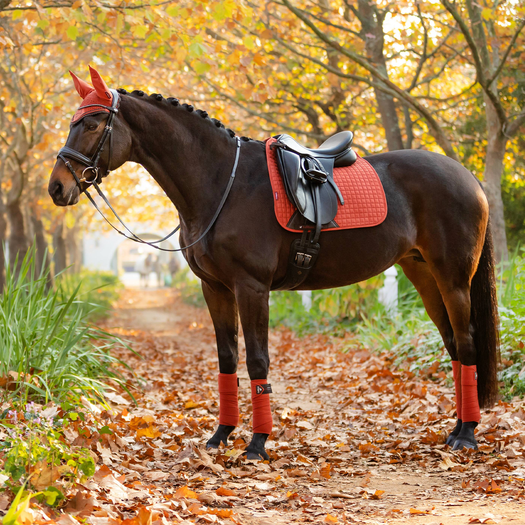 LeMieux Suede Dressage Saddle Pad, Sienna