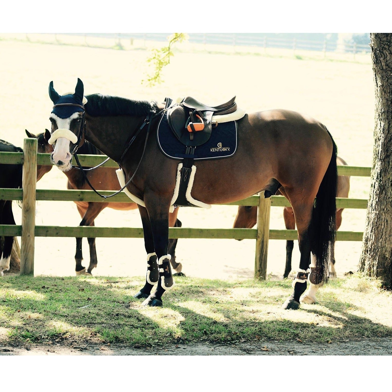 Kentucky Horsewear Sheepskin Stud Girth