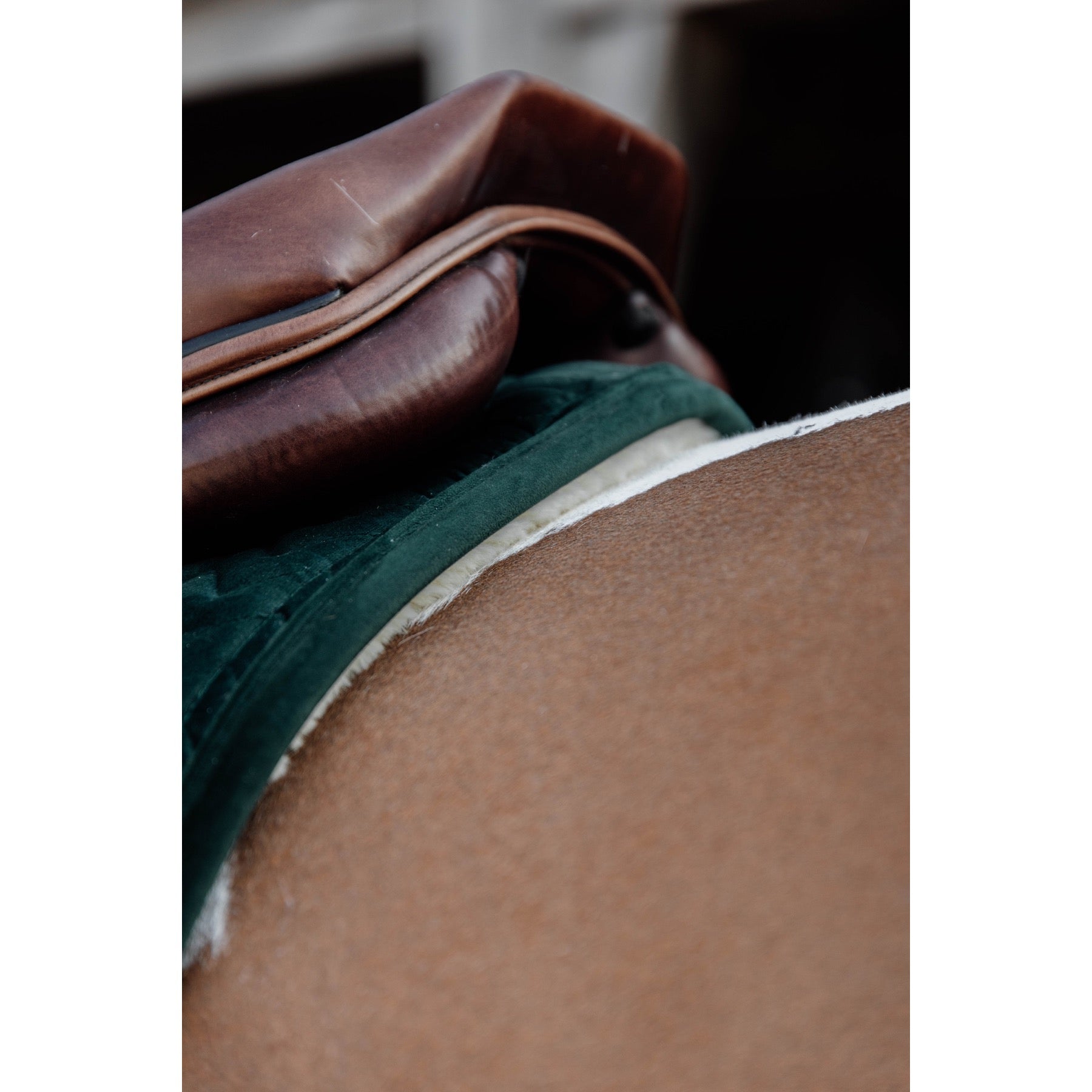 Kentucky Horsewear Skin Friendly Saddle Pad Velvet Jumping, Pine Green