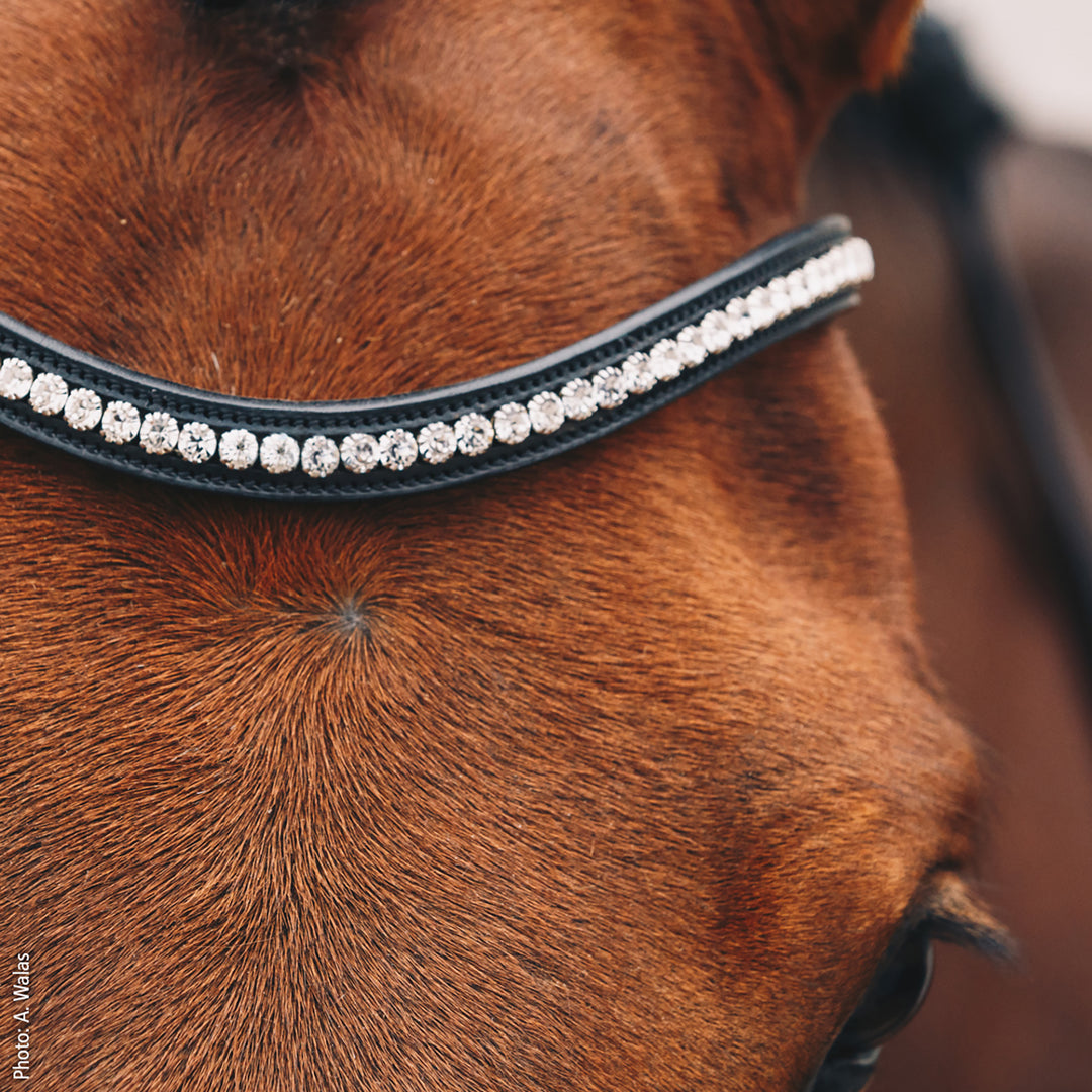 Schockemohle Equitus Beta Anatomical Special Bridle, Black/Silver