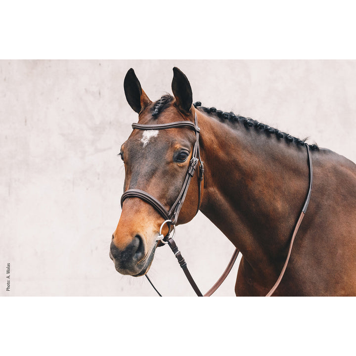 Schockemohle Tokyo Select Anatomical Bridle, Black/Silver