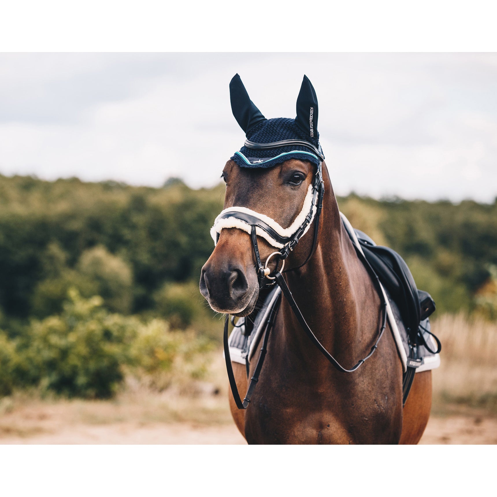 Schockemohle Equitus Zeta Anatomical Special Bridle, Black/Silver
