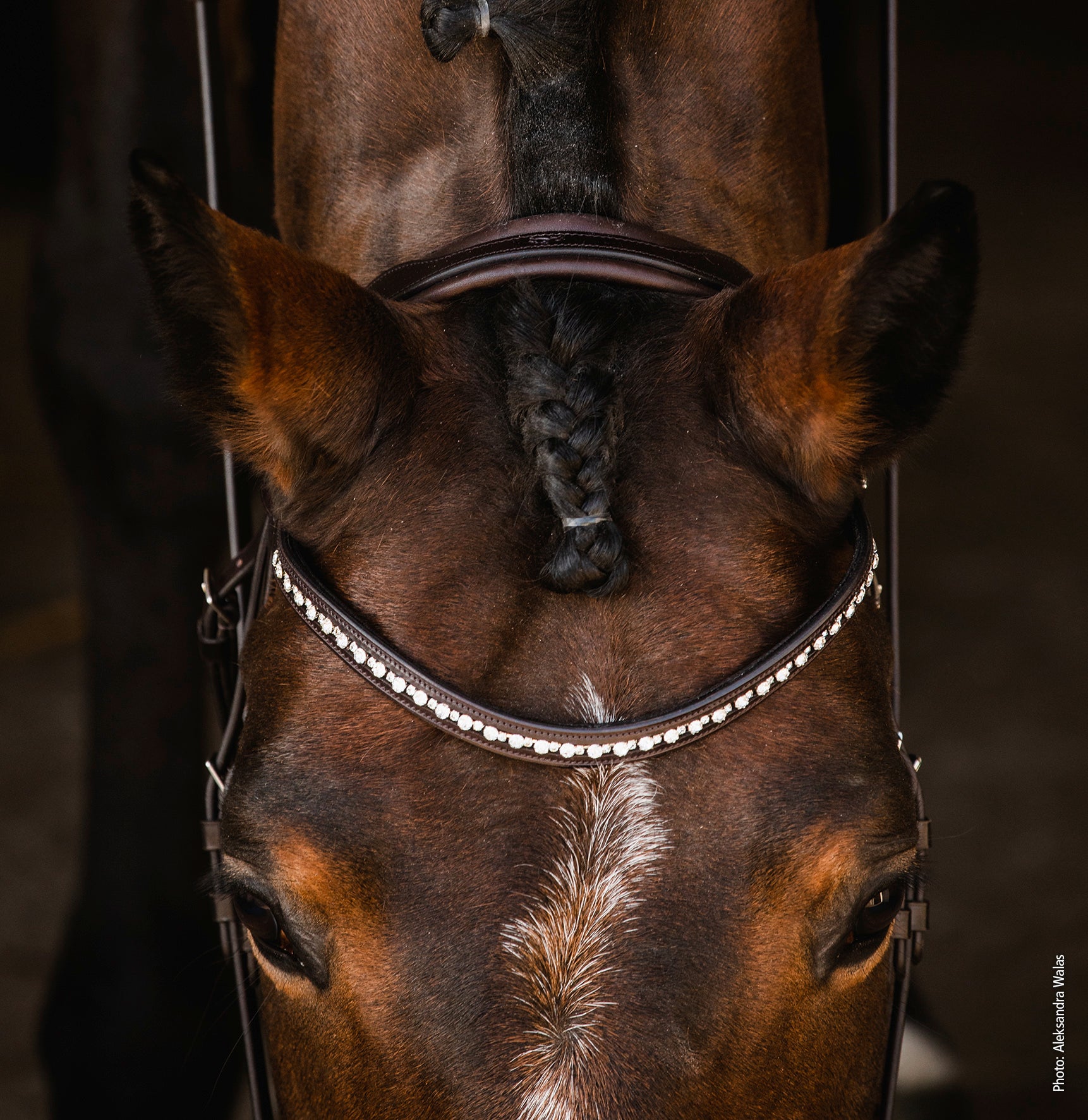 Schockemohle Brantford Anatomical Bridle, Black/Silver