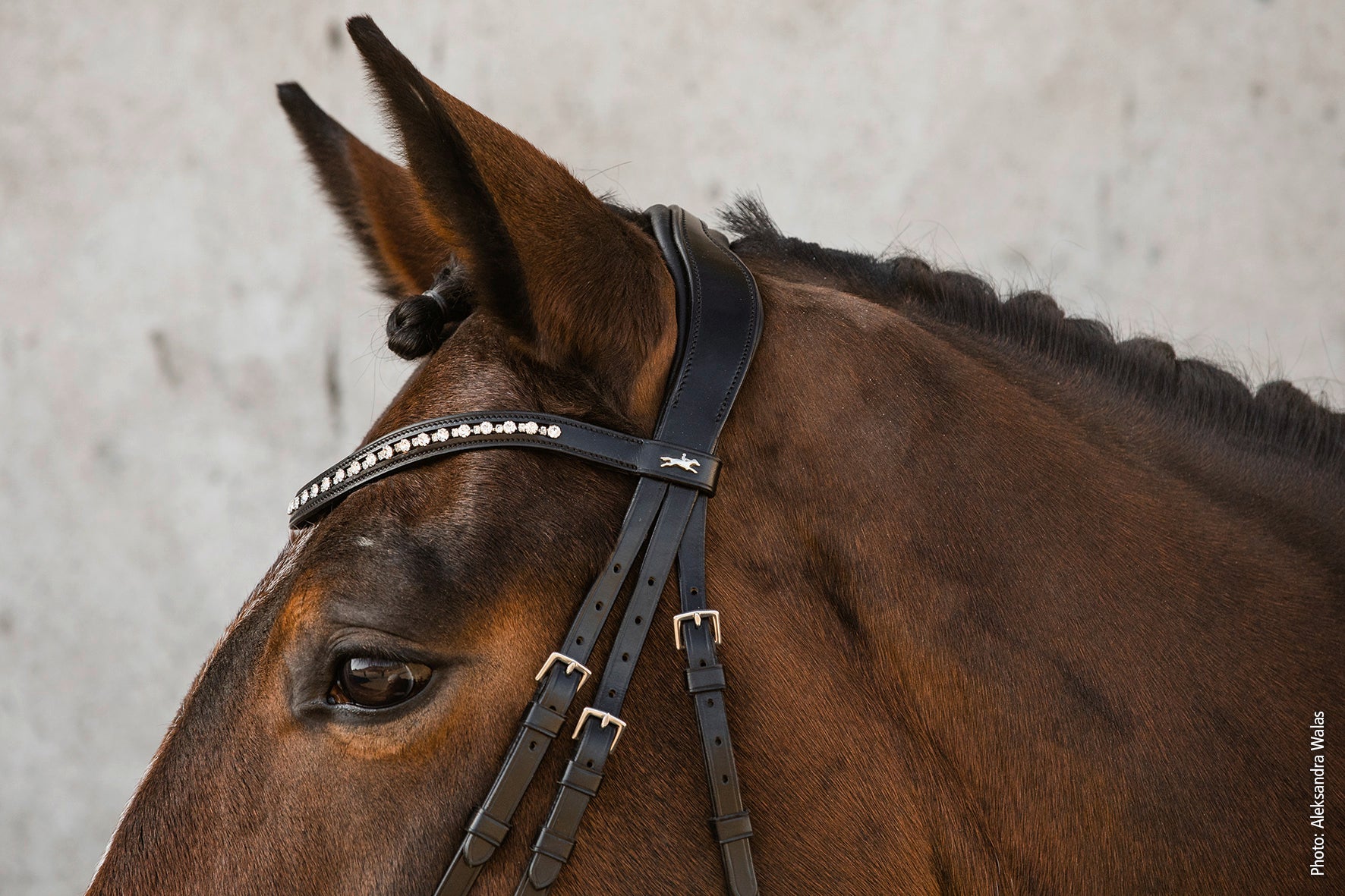 Schockemohle Brantford Anatomical Bridle, Black/Silver
