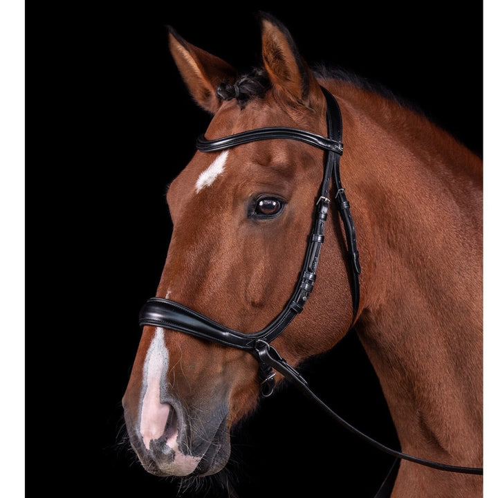 Schockemohle Equitus Theta Anatomical Special Bitless Bridle, Black/Silver