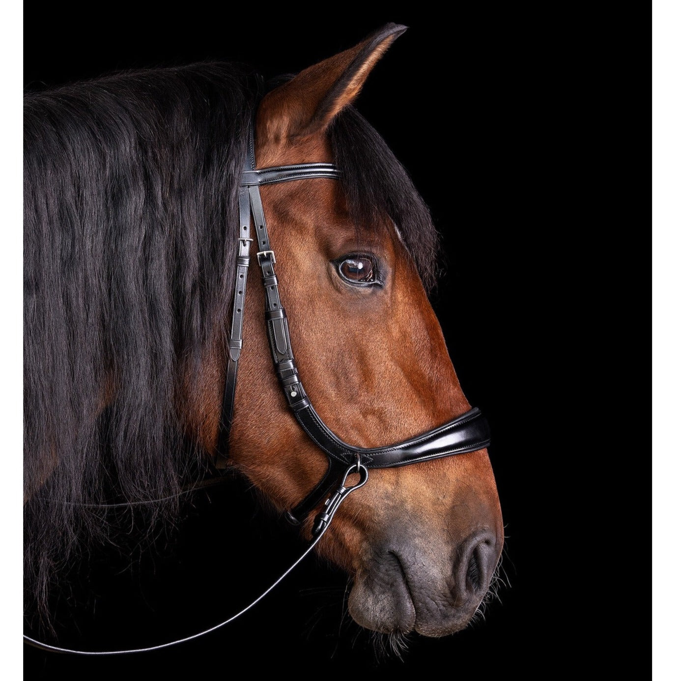 Schockemohle Equitus Theta Anatomical Special Bitless Bridle, Black/Silver