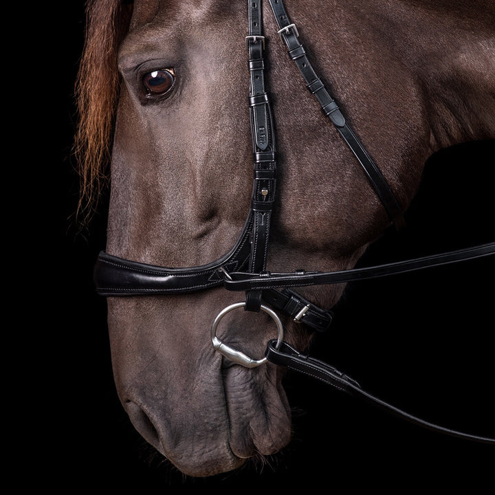 Schockemohle Equitus Theta Anatomical Special Bitless Bridle, Black/Silver