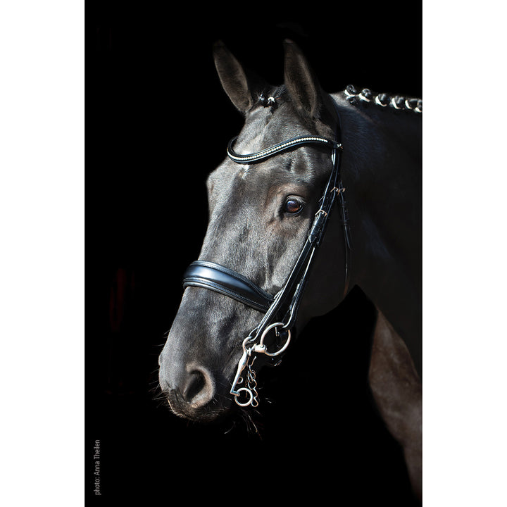 Schockemohle Milan Anatomical Double Bridle, Black/Silver