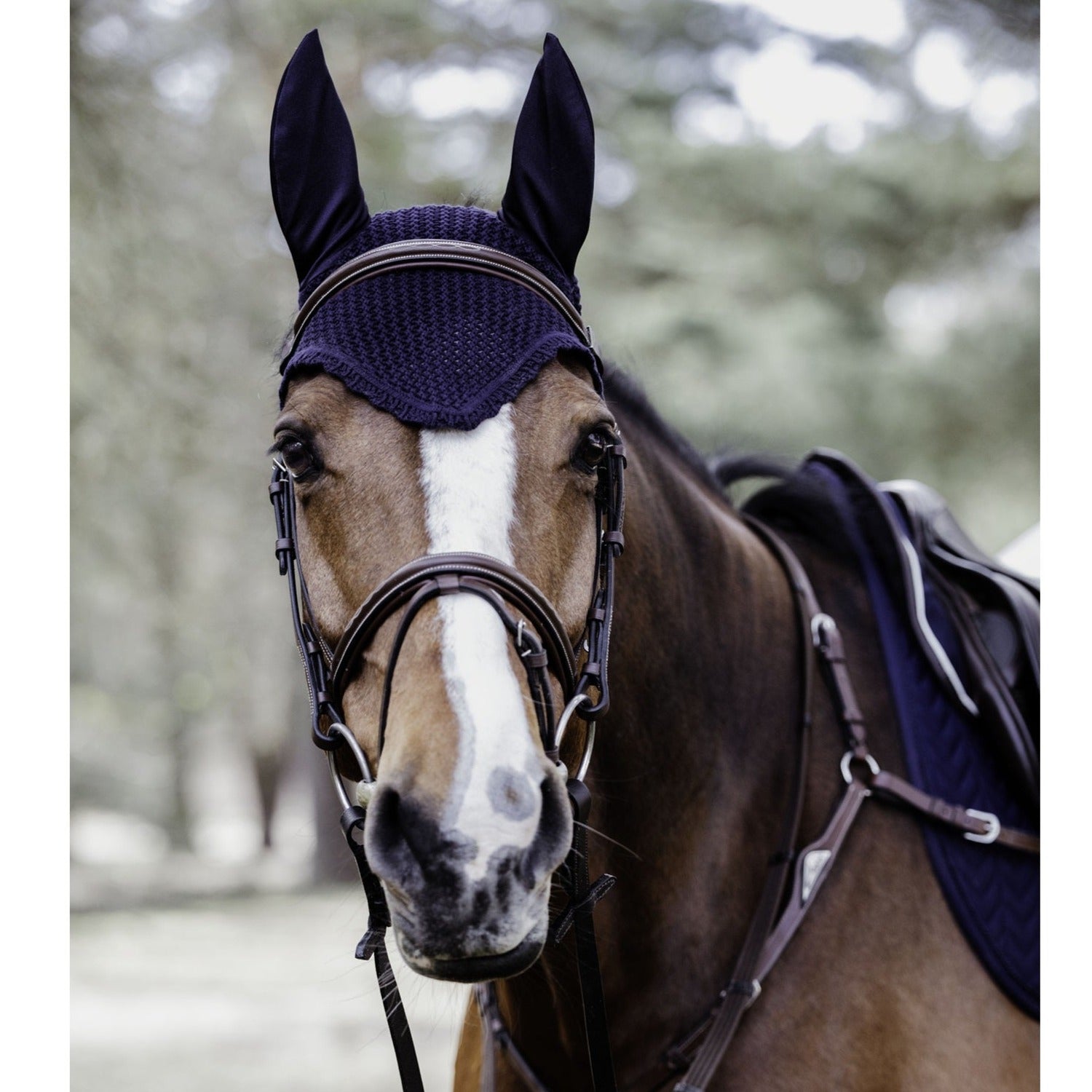 Kentucky Horsewear Fly Veil