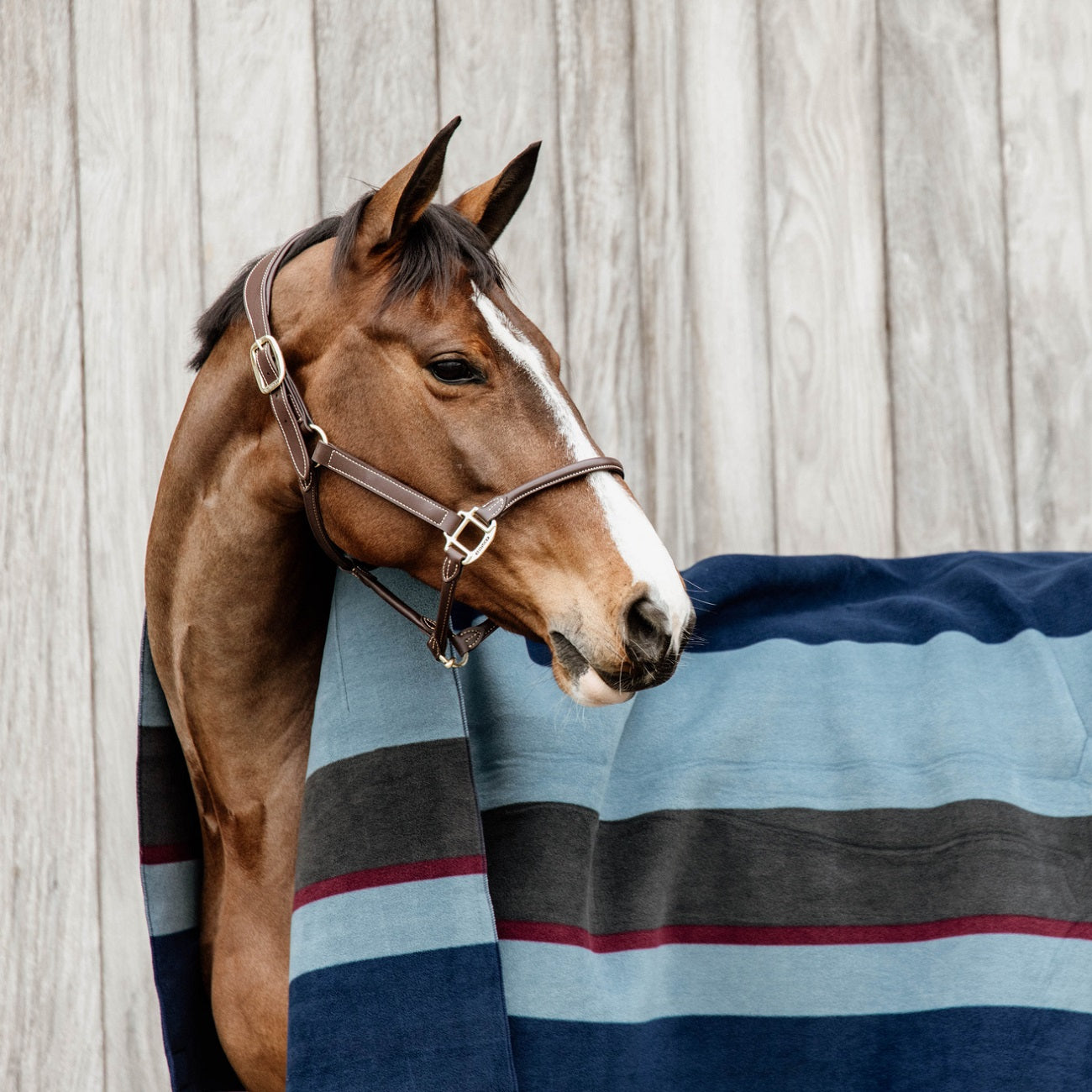 Kentucky Horsewear Heavy Fleece Rug Square Stripes, Navy/Grey